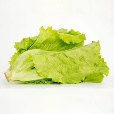 优质生菜（约500g）