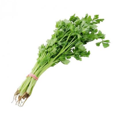  优质香芹（约250g） 